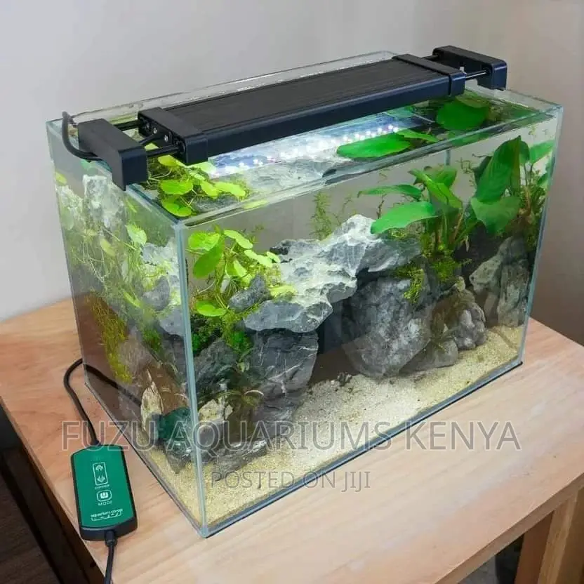 Aquarium Small