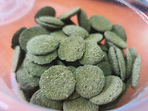 Catfish Food - main view