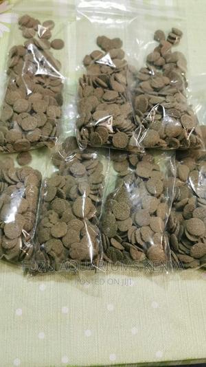 Pleco Food - thumbnail 2