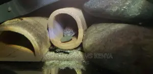 Pleco Fish Food