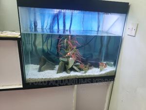 Repair Aquarium - thumbnail 2