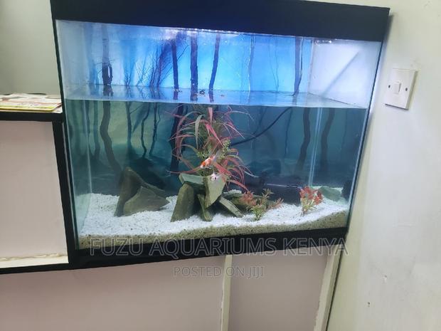 Repair Aquarium - main view