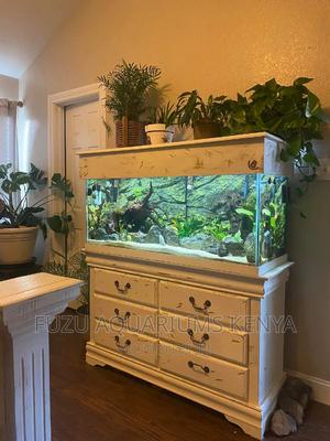 Drawer Chest and Aquarium - thumbnail 2