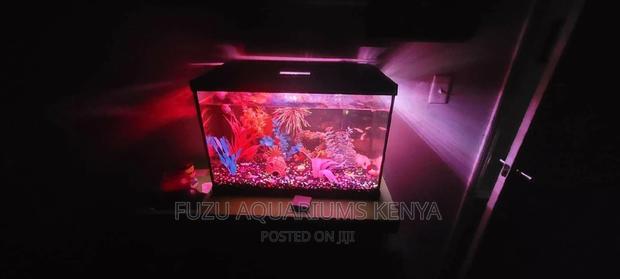 Mini Aquarium - main view