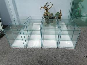 Empty Aquarium - thumbnail 2