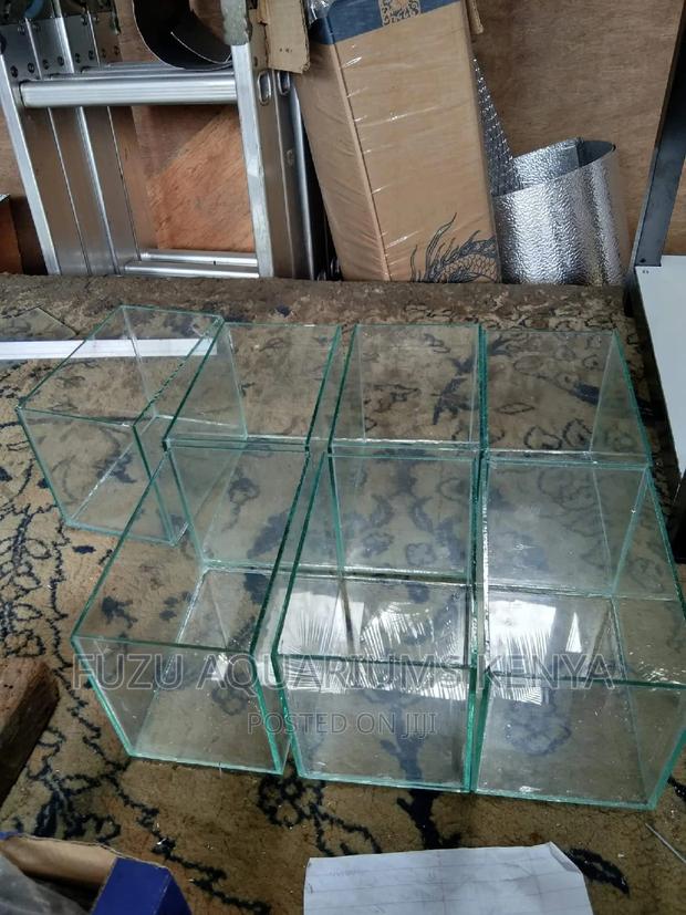 Empty Aquarium . - main view