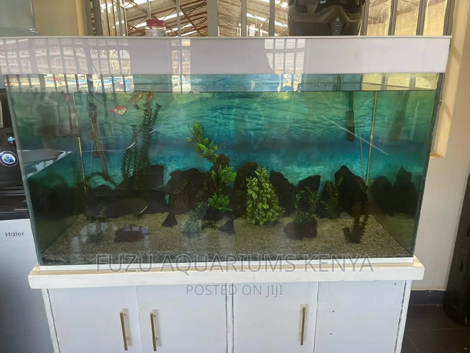 Aquarium With Stand/Base