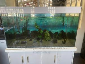 Aquarium With Stand/Base - thumbnail 2
