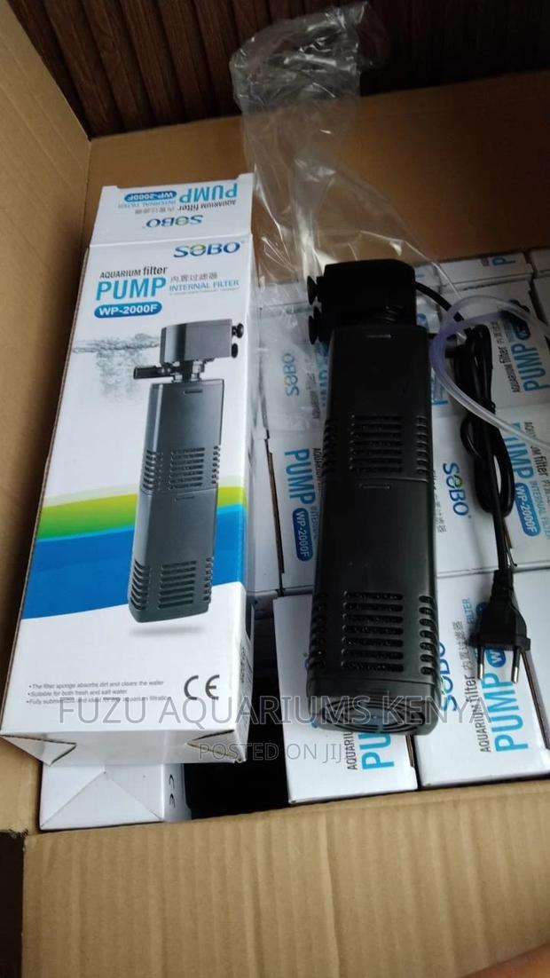 Big Filter Pump Aquarium - main view