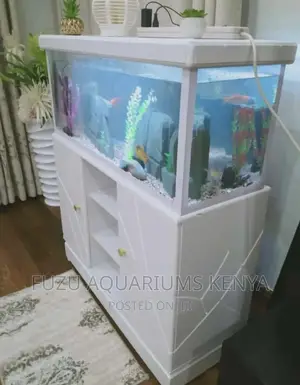 Aquarium With White Theme