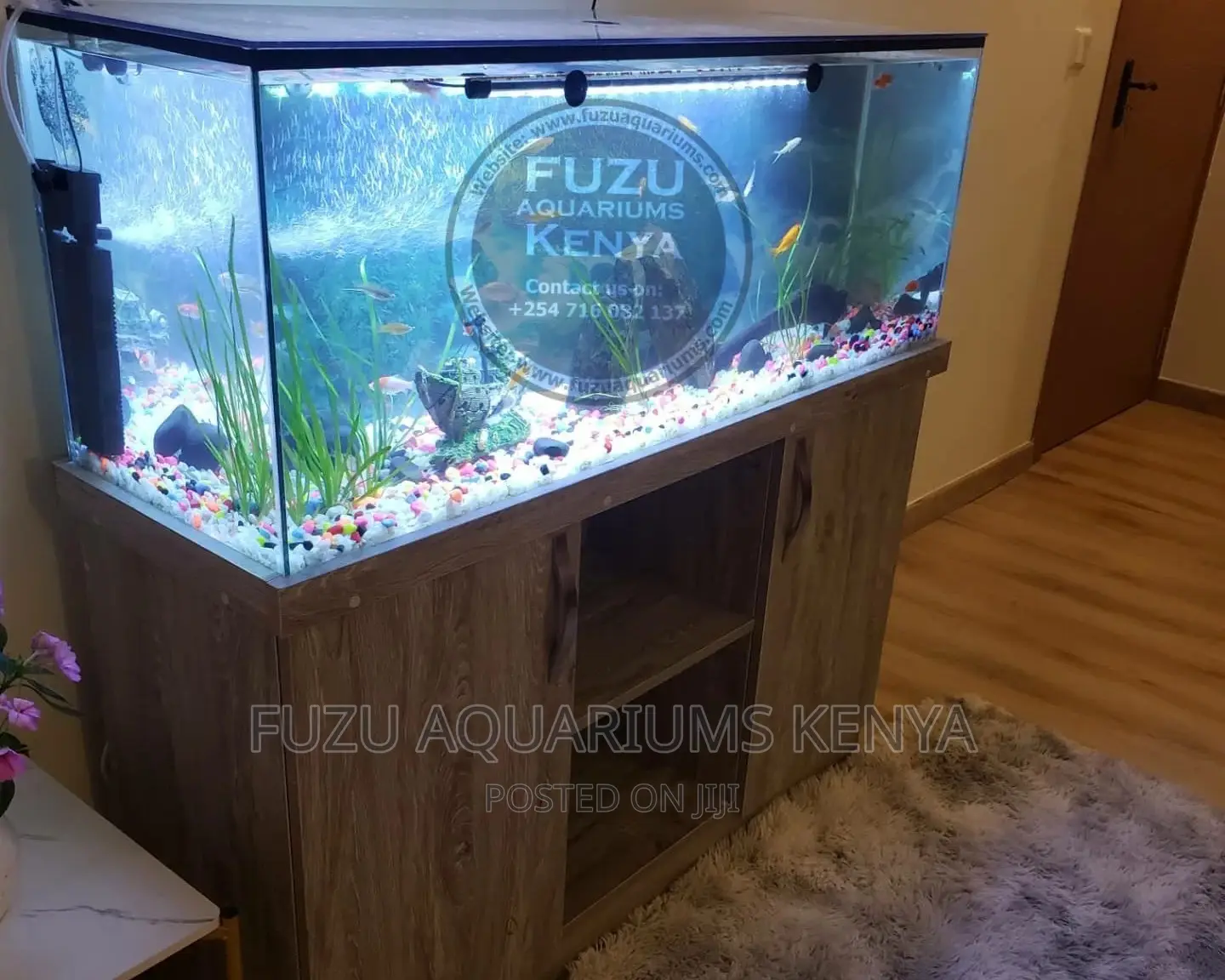 Aquarium With Stand!