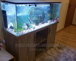 Aquarium With Stand!