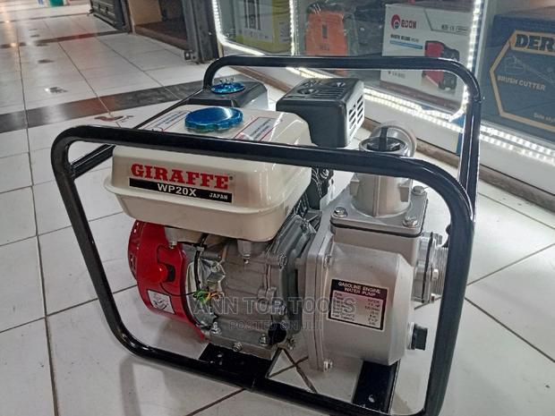 2"Giraffe Water Pump - main view