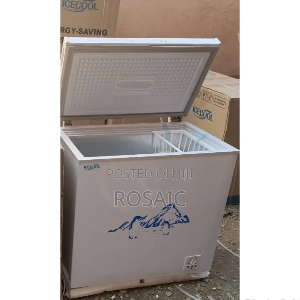 169 Litres Ice Cool Chest Freezer