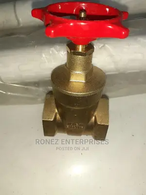 Gate Valve 1" Original