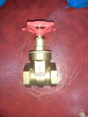 Gate Valve 1" Original