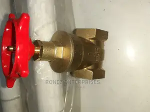 Gate Valve 1" Original
