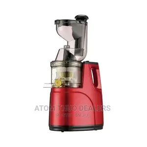 Rebune Slow Juicer S-80