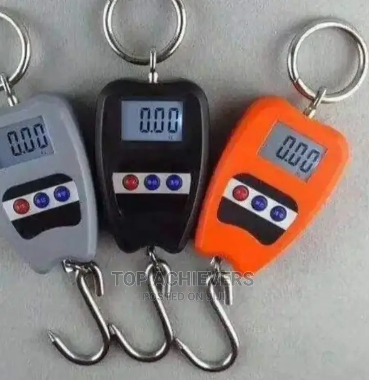 Modern 200kg Crane Scale