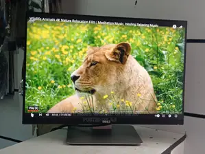 Dell Monitor Edge to Edge 24inches ( Resolution)