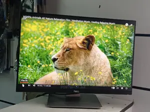 Dell Monitor Edge to Edge 24inches ( Resolution)