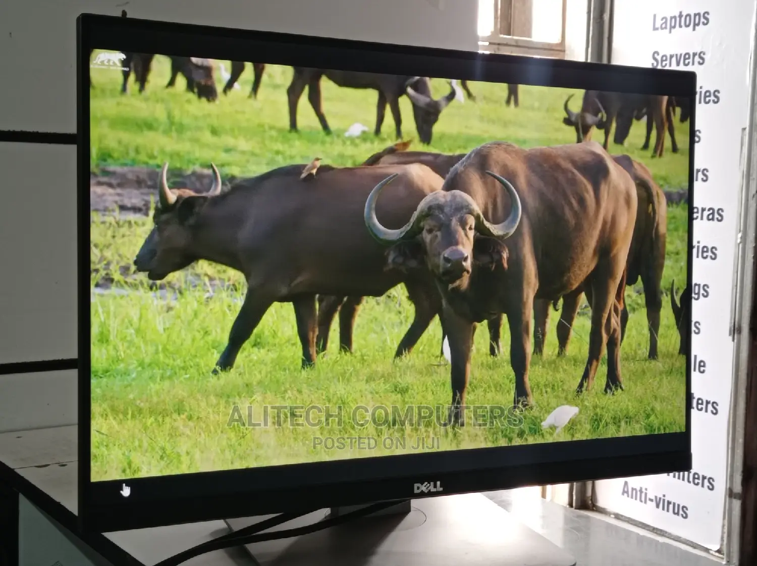 Dell Monitor Edge to Edge 24inches ( Resolution)