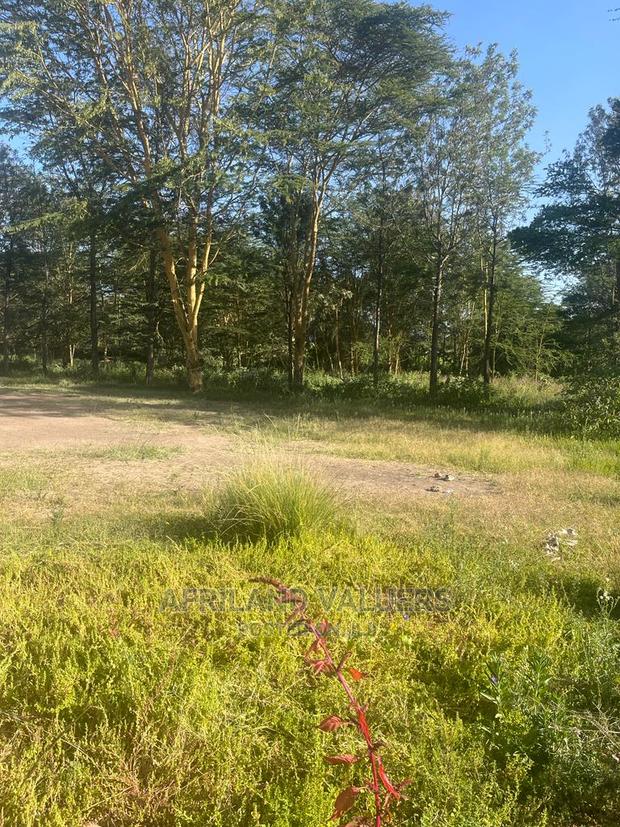 1/2 Acre Prime Plot for Sale at Karen - thumbnail 3