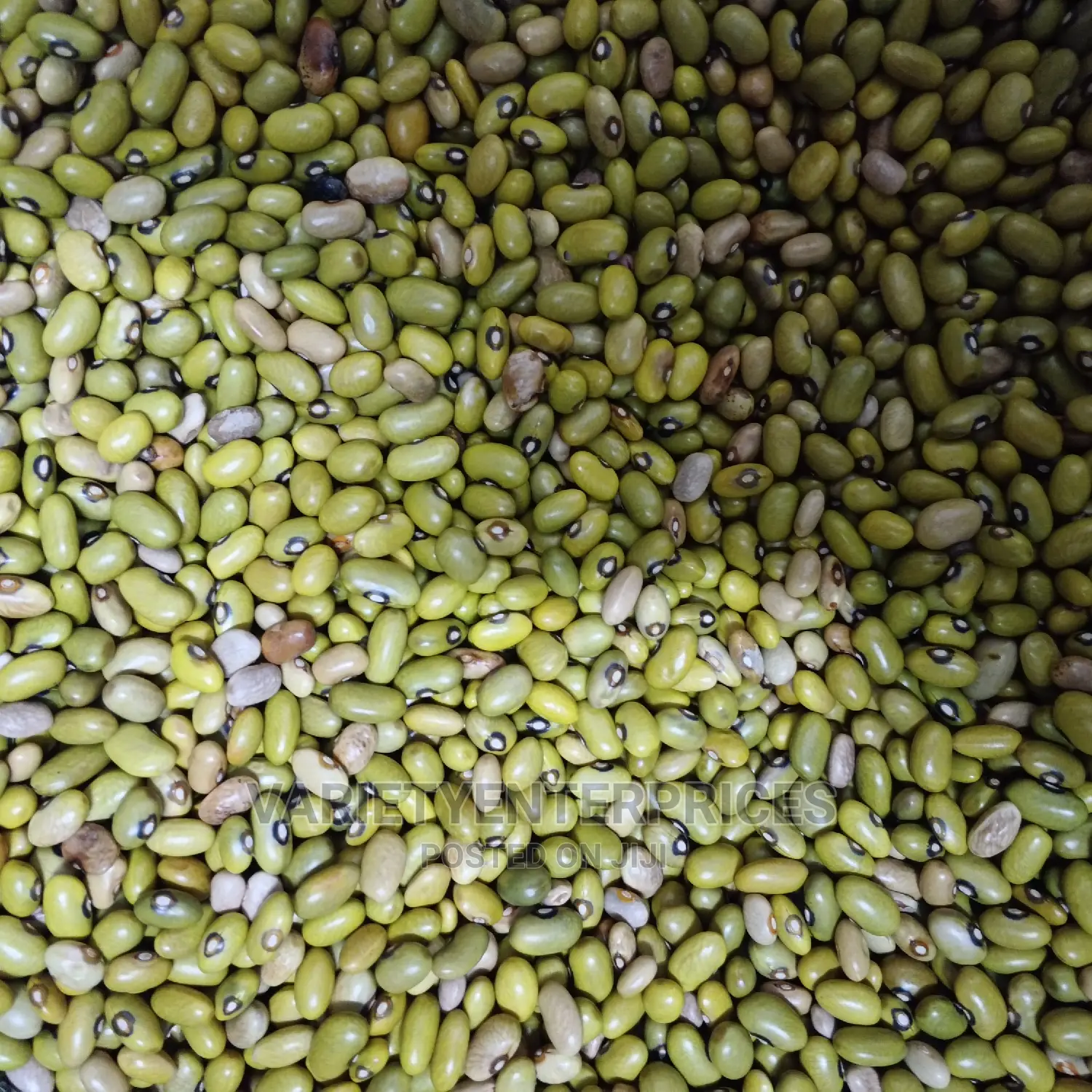 Yellow Beans
