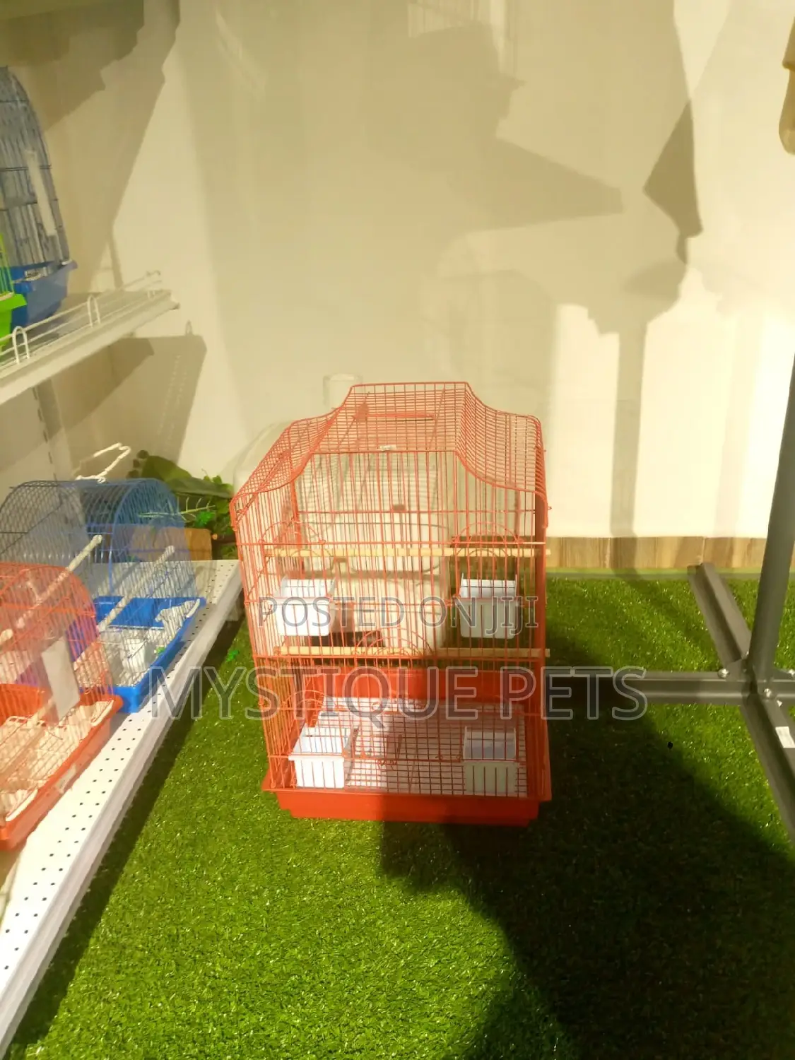 Medium Cages