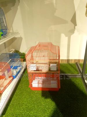 Medium Cages - thumbnail 2