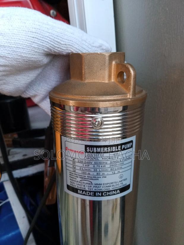 Premier 1hp Submersible Pump 150m Head