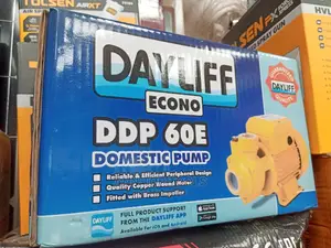 DDP 60 Econo Dayliff Booster Pump