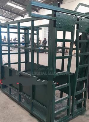 Cow/Cattle Weighing Machine - thumbnail 2