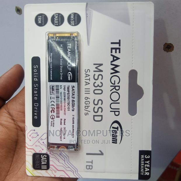 Teamgroup MS30 M.2 2280 Sata III 1tb SSD - main view