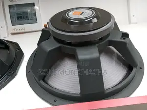 Naked Jbl 18inch Speaker 1500W