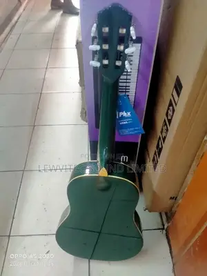 Classical Flowered Guitar