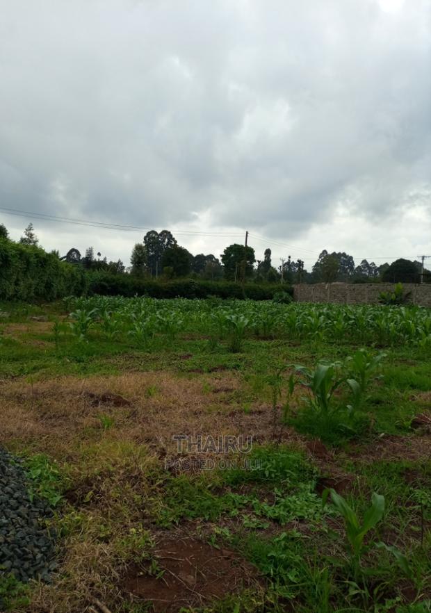 1/4 Acre for Sale - main view