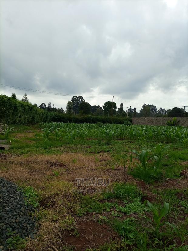 1/4 Acre for Sale - thumbnail 2