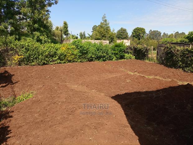 1/4 Acre for Sale - thumbnail 3