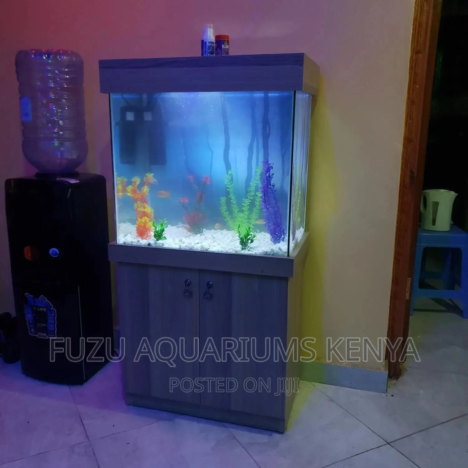 Aquarium Beautiful