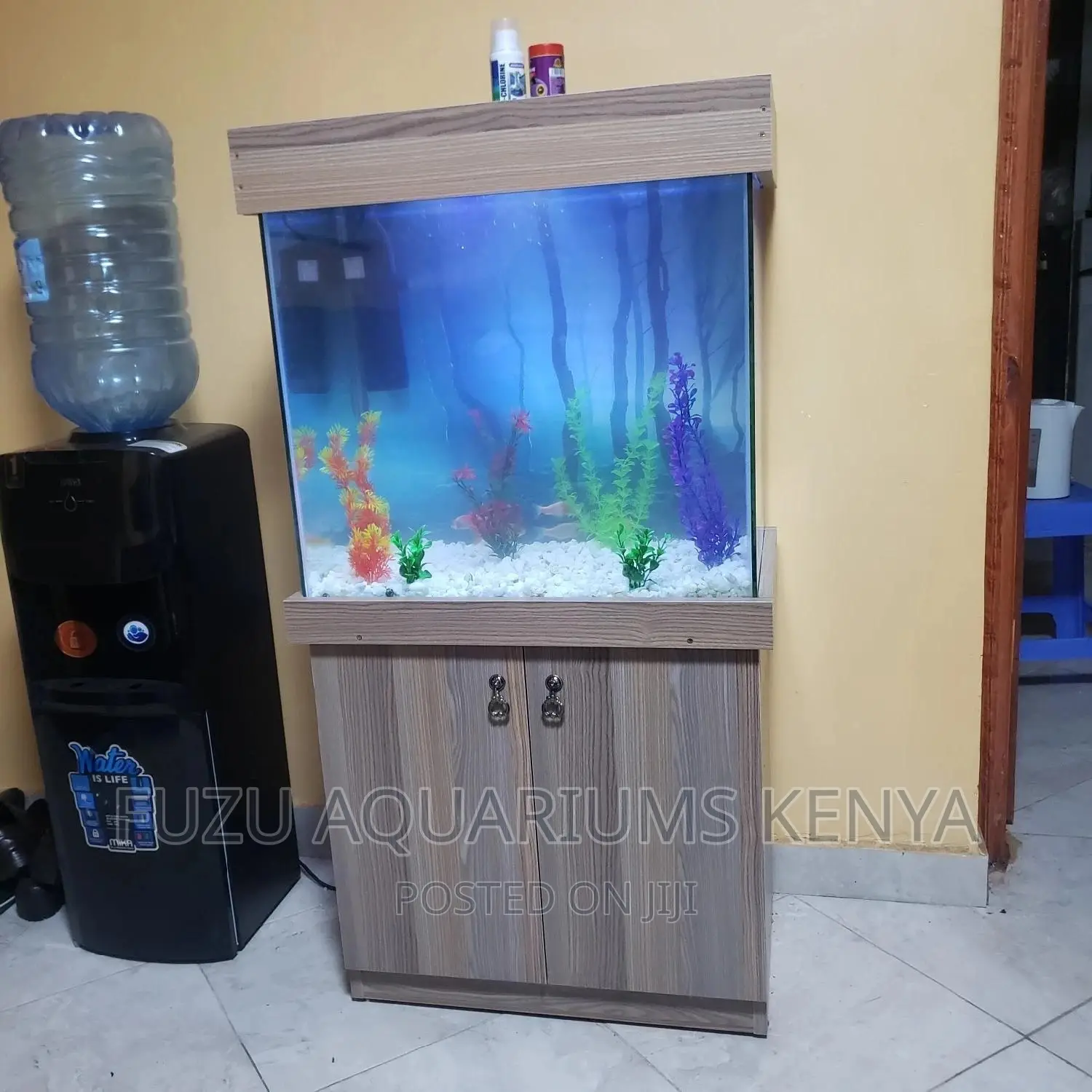 Aquarium Nice