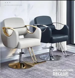 Salon Chair/Salon Seat/ Styling Salon Chair