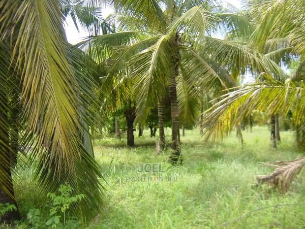 Malindi 18 Acres Land With Ready Title Deed - main view