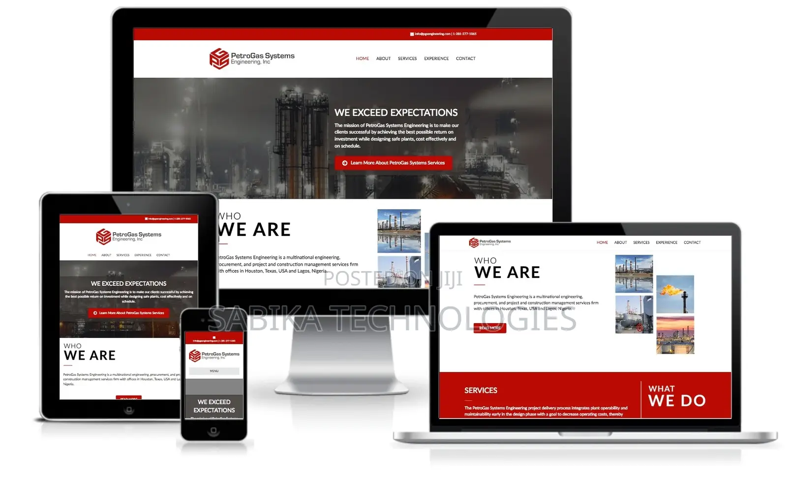 Professional Website Development. Limited Time Offer!!