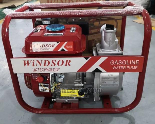 Windsor Water Pumps 2" - main view