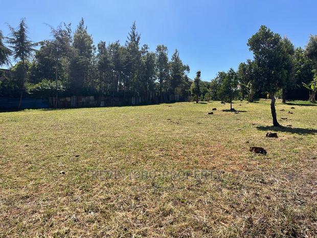 Prime 0.15 Ha (1/4 + 1/8th Acre) Plot in Kikuyu, Thogoto - thumbnail 6