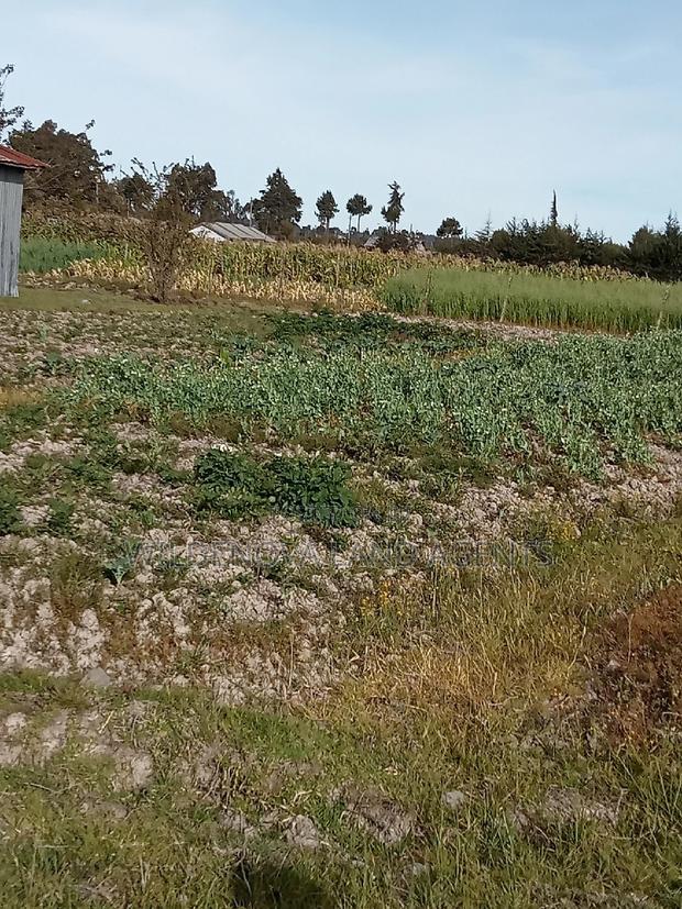 Land on Sale at Flyover Kinangop