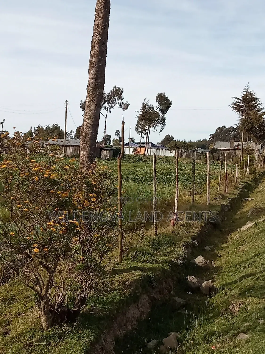 Land on Sale at Flyover Kinangop