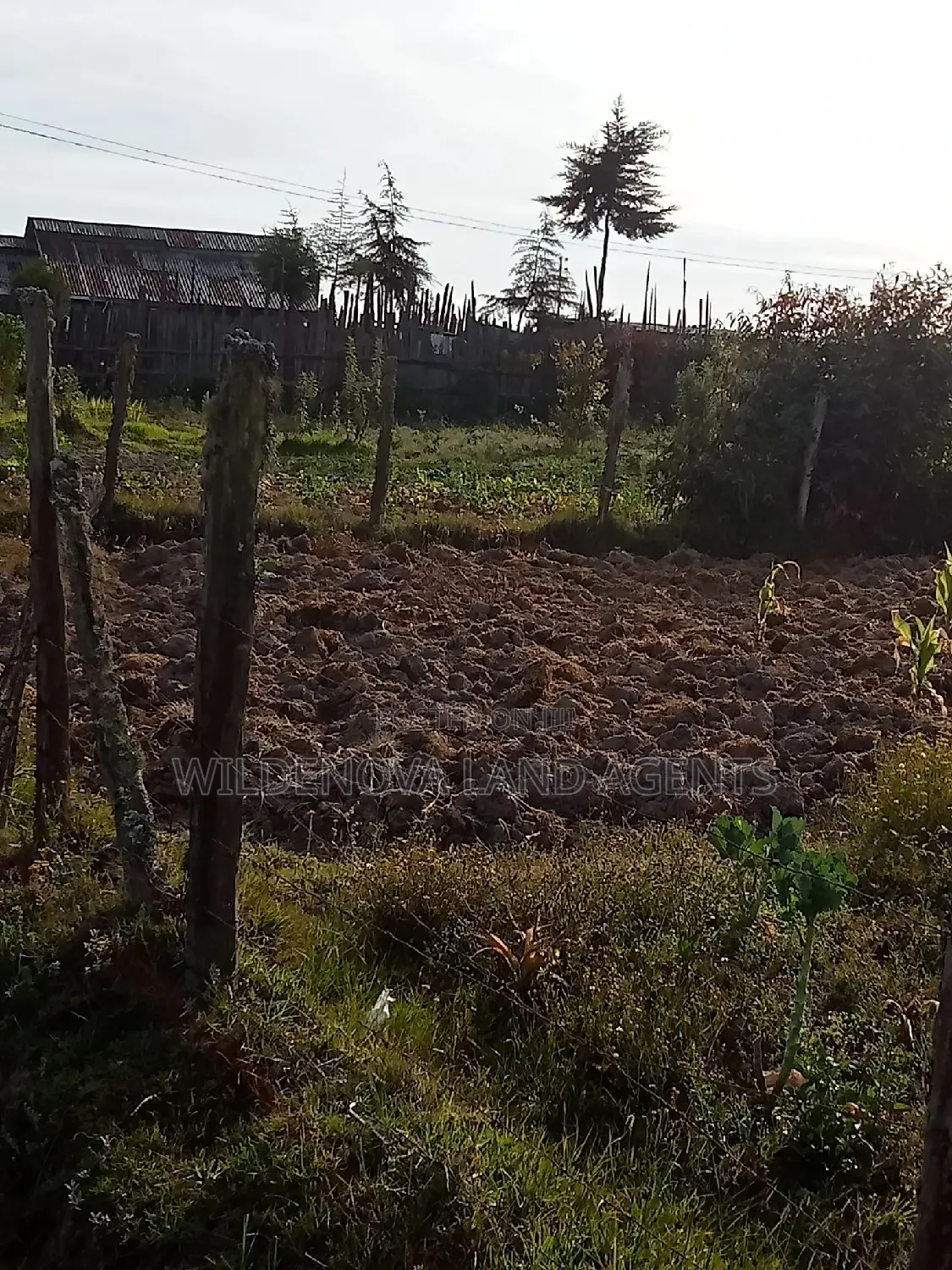 Land on Sale at Flyover Kinangop
