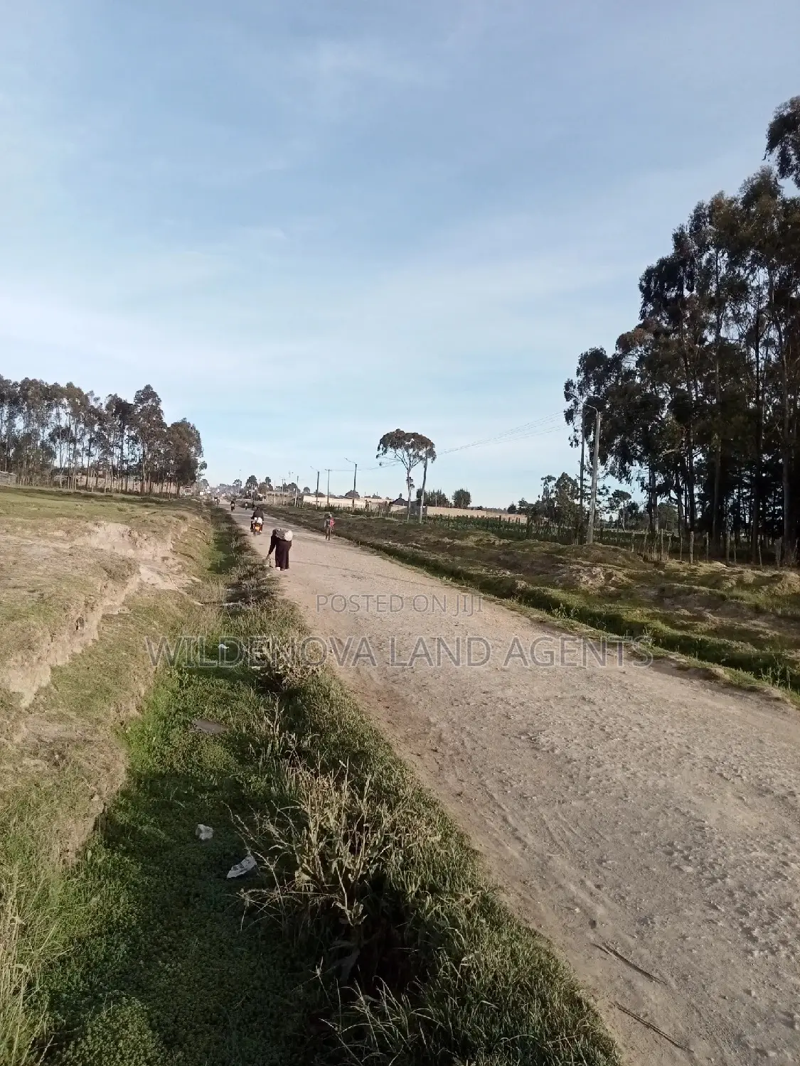 Land on Sale at Flyover Kinangop